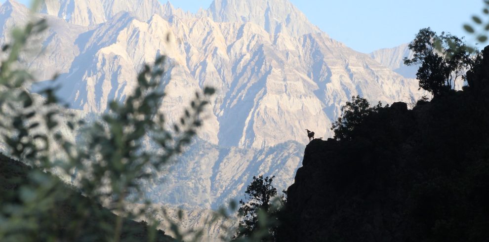 sajid-ur-rahman-7STAKHNEsMw-unsplash-990×490 (1)